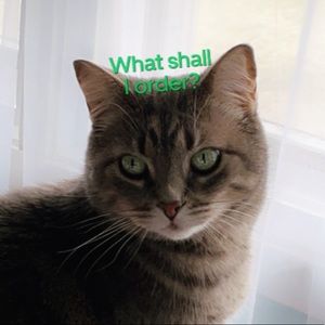 Meet your Posher, Maura